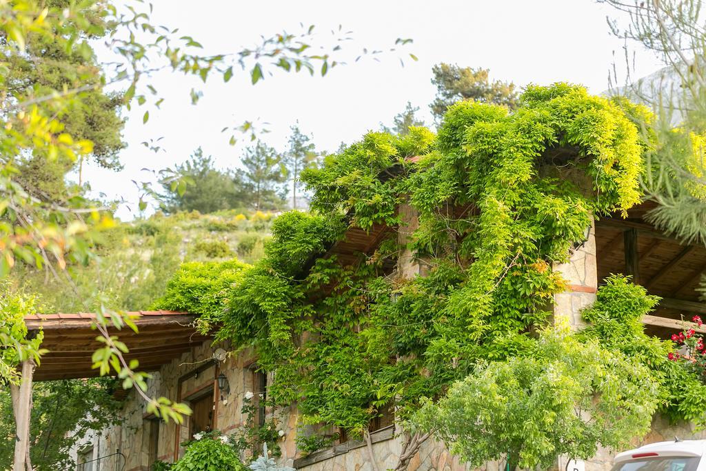 Olympos Mountain Lodge Beycik Exterior foto